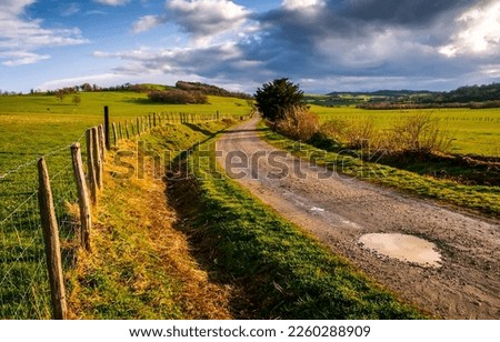 Rural road through fields after rain. Rural country road. Rural road landscape. Road in countryside