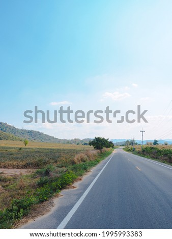 Rural road with tree and curve.