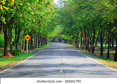 13,431 Trees along highway Images, Stock Photos & Vectors | Shutterstock