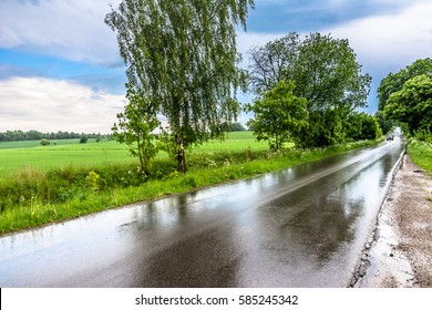 Rural Road With Wet Asphalt After Rain In Countryside Scenery Of Fields, Landscape