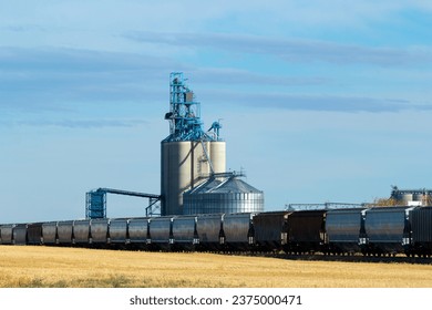Rural scen in prairies - grain elevator and new train cars on the railway tracks in the autumn field under the blue sky.