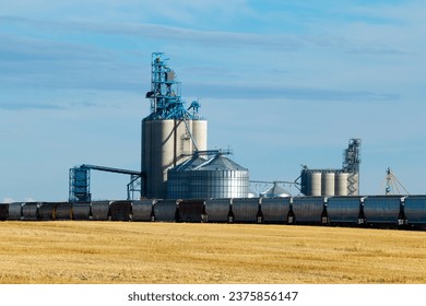 Rural scen in prairies - grain elevator and new train cars on the railway tracks in the autumn field under the blue sky.
