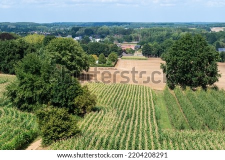 Rural scene with agricutlure fields at the Flemish countryside around Tielt-Winge, Belgium