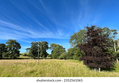 Rural scene, with fields, wild plants, trees, and a blue sky, near Hallgate Hill in, Newton, Clitheroe, UK - Shutterstock ID 2352561065