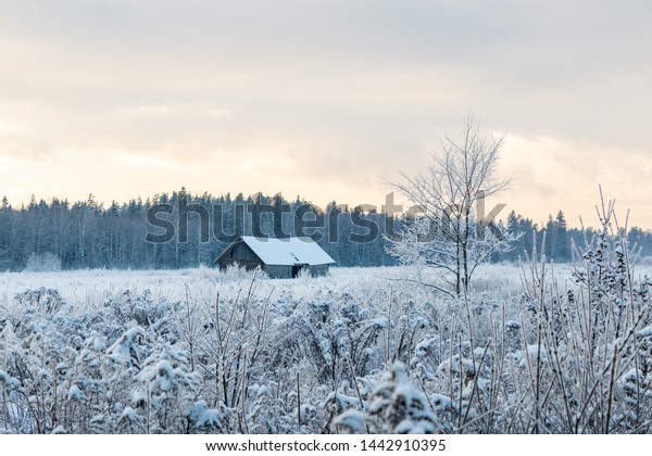 Rural Scene Old Barn Trees Long Stock Photo Edit Now 1442910395