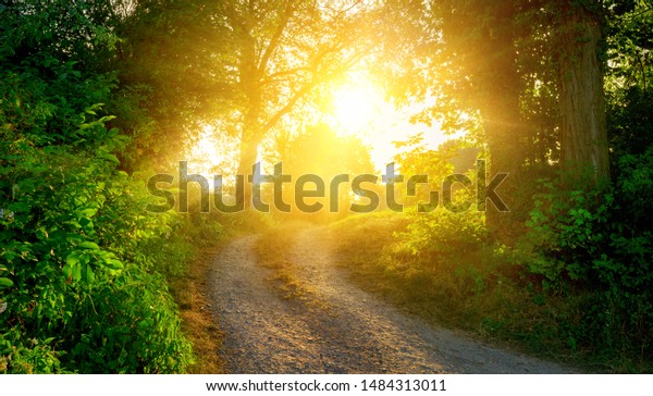 金色の日差しで暖かく照らされ 太陽に通じる道を持つ田舎のシーン の写真素材 今すぐ編集