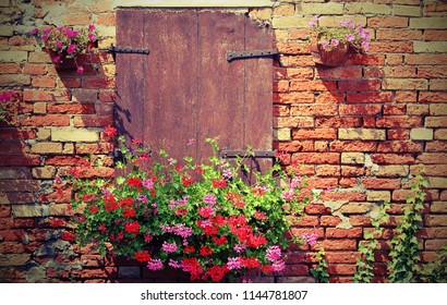 Window Flower Stock Photos Images Photography Shutterstock