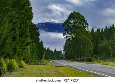 Rural Scene Road Side To Te Anau Town South Land New Zealand