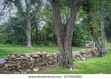A rural scene with stone wall in Susquehanna State Park in Havre de Grace, Maryland.