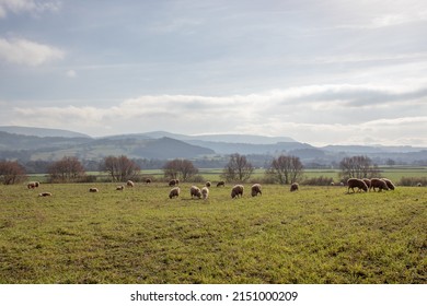 Rural Scenery Along The Wye Valley Of England And Wales.