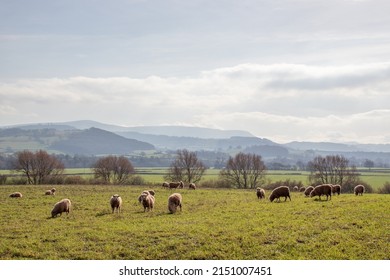 Rural Scenery Along The Wye Valley Of England And Wales.