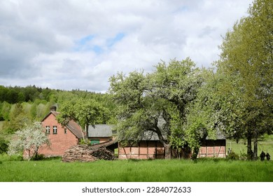 Rural scenery with a farm and flowering fruit trees on a sunny day. A barn with half-timbered construction. Around Bytow, Kashubia, Poland - Powered by Shutterstock