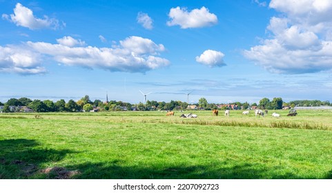 Rural scenery in Holland with nice weather clouds above bushes, wind turbines and cows in the meadow