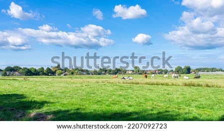 Rural scenery in Holland with nice weather clouds above bushes, wind turbines and cows in the meadow