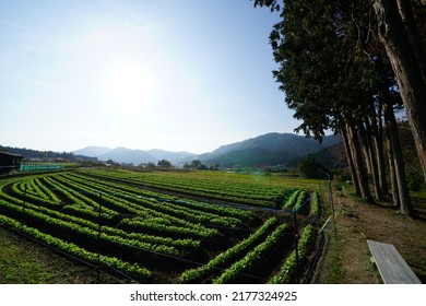 Rural Scenery Of Kyoto Ohara