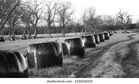 Rural Scotland Silage Bails In Feild