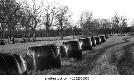 Rural Scotland Silage Bails In Feild