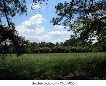 Rural Setting In Suffolk, Virginia