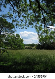 Rural Setting In Suffolk, Virginia