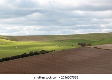 A Rural South Downs Landscape On An Autumn Day