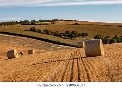 A Rural South Downs Summer Landscape, With Hay Bales In A Newly Harvested Field