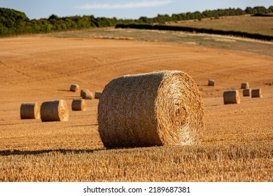 A Rural South Downs Summer Landscape, With Hay Bales In A Newly Harvested Field