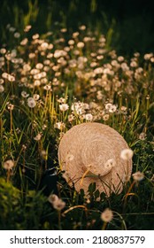 Rural Straw Hat On Green Grass And Dandelions Lawn Among Plants. Summer Time, Heat . Romantic Boater Or Canotier, Stylish Costume Detail