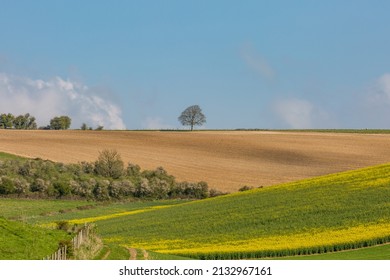 A Rural Sussex Farm Landscape In Early Spring