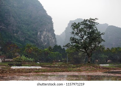 Rural Terrain In Ninh Binh City, Vietnam