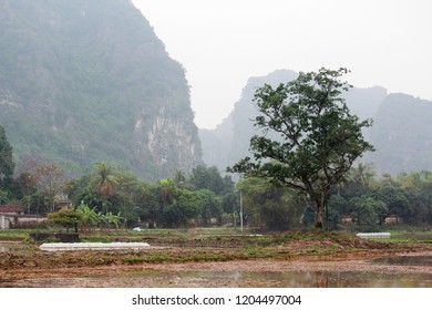 Rural Terrain In Ninh Binh City, Vietnam