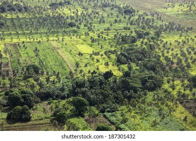 Rural Tonga - Aerial Area Of Tongatapu Island.