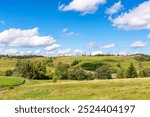 rural valley with village behind the field. early autumn green landscape. trees near the grassy pasture. arable on the distant hill. sunny day with fluffy clouds. rolling farmland scenery