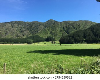 Rural View And Grass Te Araroa