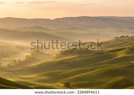 Rural view of a rolling landscape at dawn