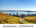 Rural vineyard near Twann in autumn - Lake Biel, Canton Bern, Switzerland 