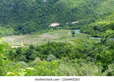 Rural Vineyards In Tskhenistsqali River Valley In Racha Region In Georgia With Lush Green Forests Around.