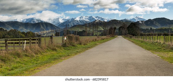 Rural Wairarapa Road