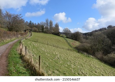 Rural Walks In Devon Uk British Country Side With Fencing Boundary
