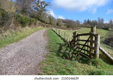 Rural Walks In Devon Uk British Country Side With Fencing Boundary
