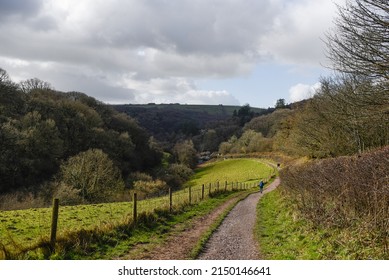 Rural Walks In Devon Uk British Country Side With Fencing Boundary
