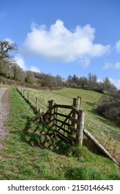 Rural Walks In Devon Uk British Country Side With Fencing Boundary
