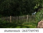 The rural water village of Giethoorn Overijssel Netherlands. Fench made out of sticks. . Venice of the north. Touristic spot. Countryside. 