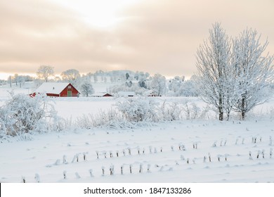 Rural Winter Landscape With A Farm