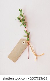 Ruscus leaves with an empty tag