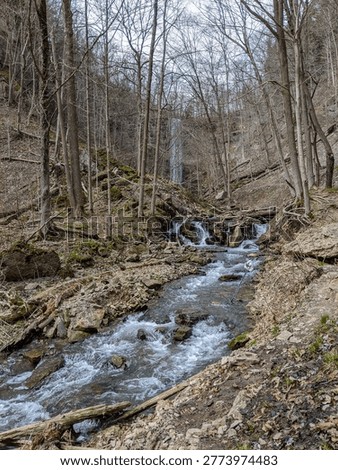 A rushing forest stream winding through a rocky limestone ravine with the tall plunge of Tew's Falls visible in the background during a bright spring day.
