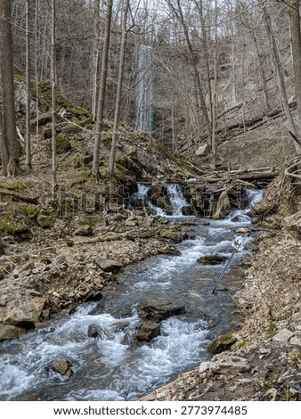 A rushing forest stream winding through a rocky limestone ravine with the tall plunge of Tew's Falls visible in the background during a bright spring day.