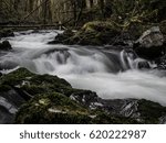 Rushing Stream In Forest