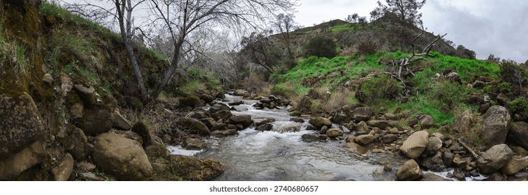a rushing stream navigating over mossy boulders