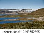 Russell glacier (ice sheet) in western Greenland with glacial lagoons