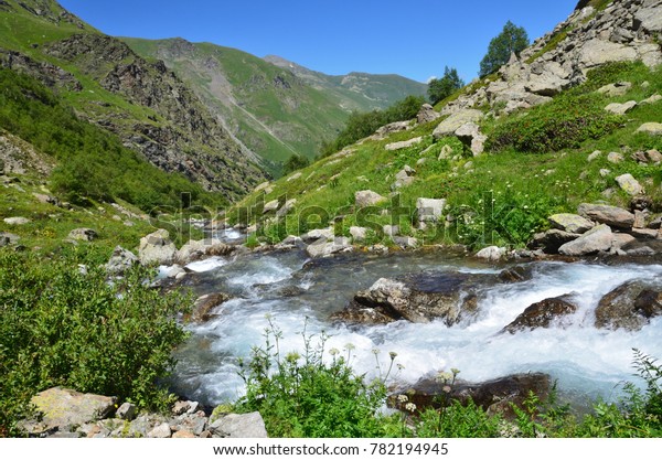 Russia Caucasian Biosphere Reserve Source River Stock Photo - 